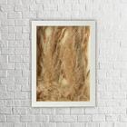 Arranjo No Quadro Flores Secas Pluminha + Pampas 21x30