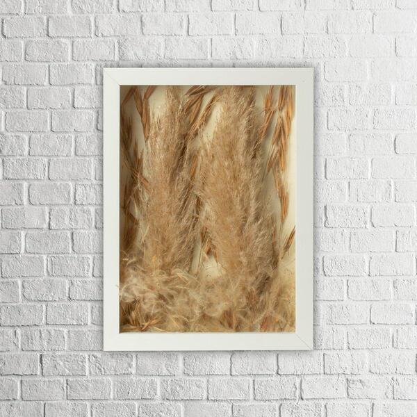 Arranjo No Quadro Flores Secas Pluminha + Pampas 21x30