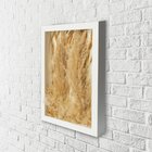 Arranjo No Quadro Flores Secas Pluminha + Pampas 21x30