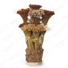 Arranjo Pendão Artesanal Desidratado Flores Secas