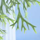 Arranjo Pendente Chifre De Veado Artificial No Vaso Terracota