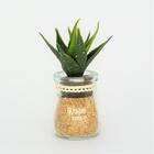 Arranjo Suculenta Artificial Diversos Modelos Vaso De Vidro