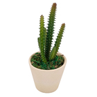 Arranjo Suculenta Plás.Vaso Cer.Trapézio