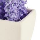 Arranjo Vaso Cerâmica Lavanda 7x7x15 cm
