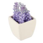Arranjo Vaso Cerâmica Lavanda 7x7x15 cm
