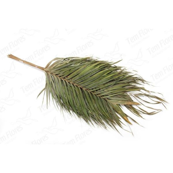 Arreca Natural Desidratado Buque Flores Secas