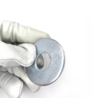 Arruela Lisa Zincado Branco 100 Peças Wm  M10