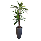 Árvore Artificial Frangipani Toque Real Com Vaso De Polietile