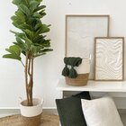 Árvore De Ficus Lyrata Grande Verde Planta Artificial Único