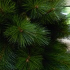 Árvore de Natal Morry Verde 180cm 398 Galhos