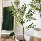 Árvore De Oliveira Média Verde Planta Artificial Toque Real 1