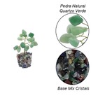 Árvore De Pedra Quartzo Verde Base Mix De Cristais 9cm