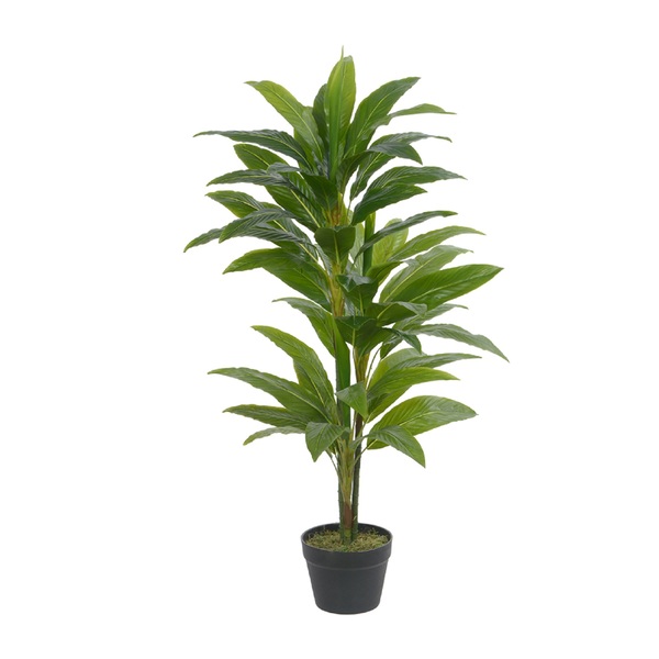 ARVORE DRACENA C/POTE VERDE 1,1m