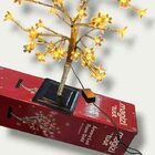 Arvore Led 45cm Cerejeira Rose Gold Magizi 220