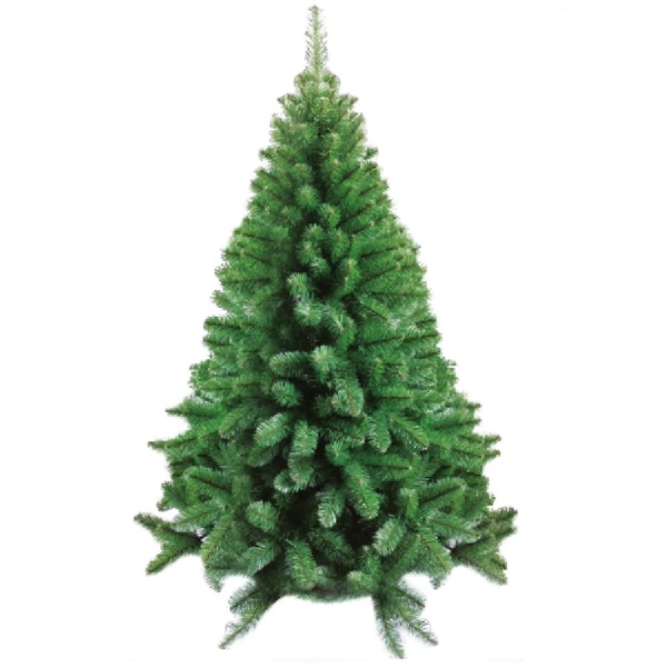 Árvore Natal Pinheiro Escócia 210cm 858 Galhos 14,8kg Magizi