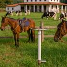 Aspersor Irrigador De Água Jd 50cm 6 Jatos