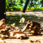 Aspirador De Pó E Água Kärcher Wdl 1s 220v