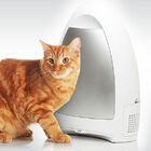 Aspirador De Pó Inteligente Polishop - Vacuum Cleaning Guard