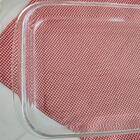 Assadeira Retangular Marinex Clássica 2,9l