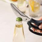 Assador De Frango Gás 6 Espetos Tubular Pr-634 Progás + Tesou