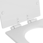 Assento Branco Poliéster Monocromático - Deca