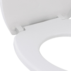 Assento Sanitário Convencional Polipropileno Solution Fechamento Suave Branco Sensea