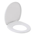 Assento Sanitário Convencional Polipropileno Solution Fechamento Suave Branco Sensea