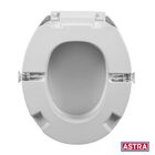 Assento Elevaçao Almofadado Tampa Oval Astra Com Trava 7,5cm