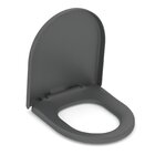 Assento Original Com Queda Amortecida Nexo Roca Grafito