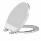 Assento Oval Retire Limpe Com Fechamento Suave Branco Tupan