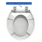 Assento Oval Retire Limpe Com Fechamento Suave Branco Tupan