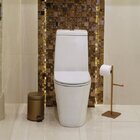 Assento Poliester Slow Close Lk/caarra Cinza Antracite Fixaçã