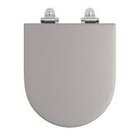 Assento Poliester Slow Close Lk/caarra Cinza Antracite Fixaçã