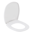 Assento Sanitário Aspen Polipropileno Fechamento Suave Branco Sensea