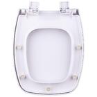 Assento Sanitário Astra Com Amortecedor Laguna Branco Para Va