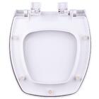 Assento Sanitário Astra Com Amortecedor Thema Branco Para Vas