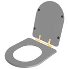 Assento Sanitário Carrara Cinza Vip (cinza Escuro) Para Vaso