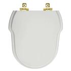 Assento Sanitário Com Amortecedor Ibiza Cinza Platina Para Va