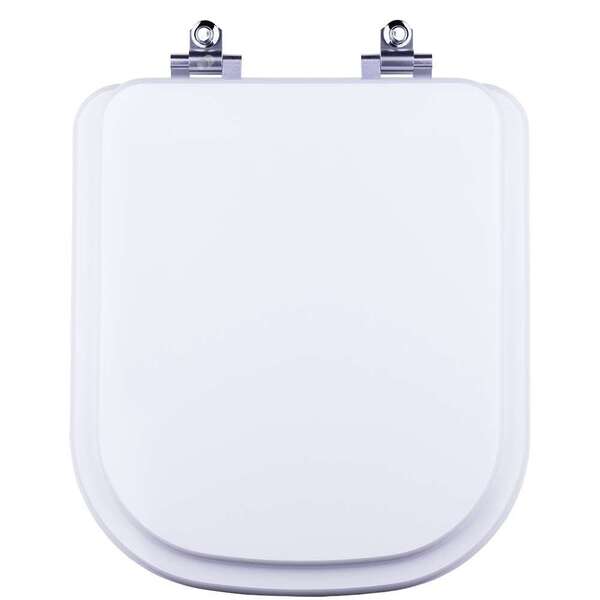 Assento Sanitário Com Amortecedor Mist Branco Para Vaso Icasa