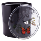 Assento Sanitário Convencional  E  Lixeira  Decoradas Preto