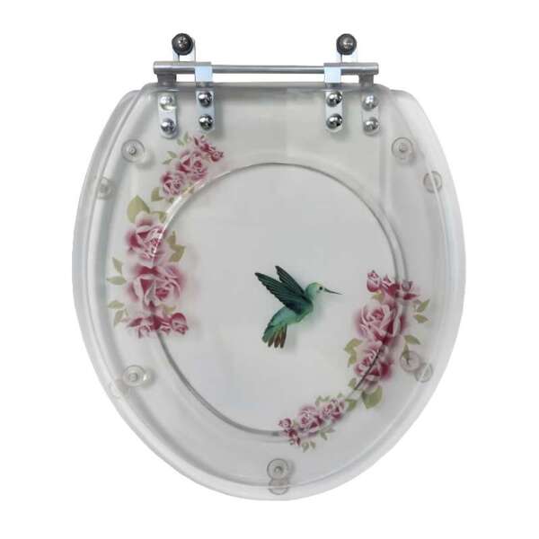 Assento Sanitário Convencional Cristal E Lixeira Decorado Bei