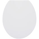 Assento Sanitário Universal  Oval Diamantina Ou Sabará Em Polipropileno Com Fechamento Convencional Branco Tupan