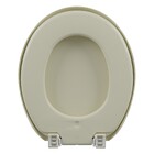 Assento Sanitário Convencional Espuma Bege Fechamento Comum Astra