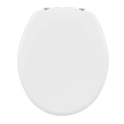 Assento Sanitário Convencional Almofadado Branco Astra