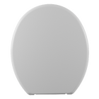 Assento Sanitário Convencional com Fechamento Comum Oval Plástico Cinza Astra