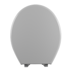 Assento Sanitário Convencional com Fechamento Comum Oval Plástico Cinza Astra