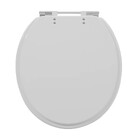Assento Sanitário Convencional com Fechamento Comum Oval em Plástico Cinza Sicmol