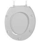 Assento Sanitário Universal  Oval Prime Em Polipropileno Com Fechamento Convencional Cinza Prata Tupan