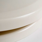 Assento Sanitário Convencional Plástico Biscuit Tupan