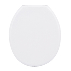 Assento Sanitário Convencional Polietileno e Polipropileno Fechamento Comum Branco Astra